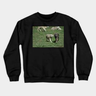 Wolves Crewneck Sweatshirt